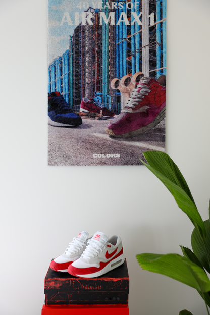 40 YEARS OF AIR MAX 1 - TAPIS MURAL